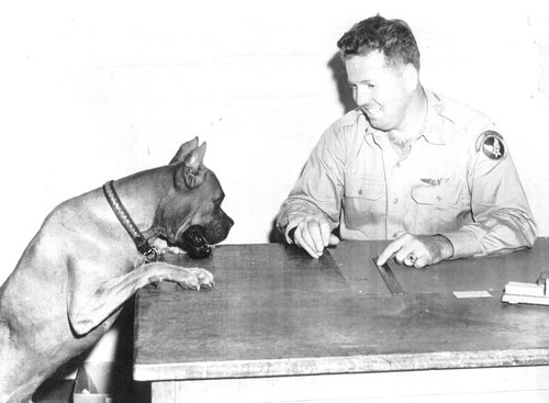 A dog with his paws on a desk where a man is sitting.